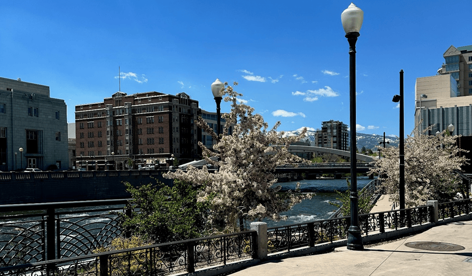 City of Reno Zoning Code Items
